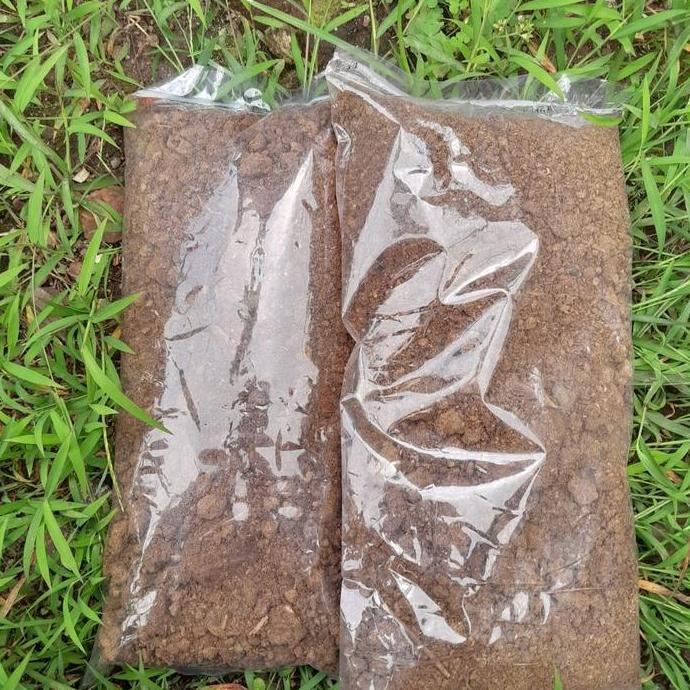 

Terlaris Pupuk Kandang Kotoran Ayam Murni Kering Tanpa Campuran Kohe Ayam