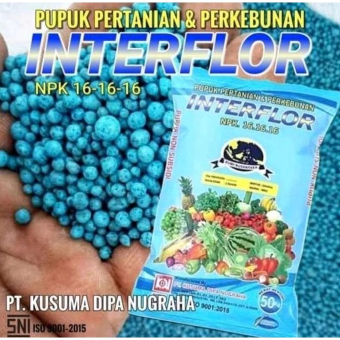 

Terlaris Repack Npk 16 Interflor 1Kg Untuk Menyuburkan Tanaman Kusuma Dipa Nugraha