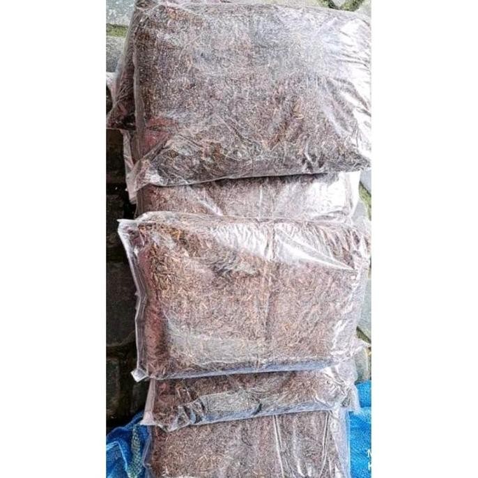 

Terlaris Promo Media Tanam 1 Kg (Komposisi :- Pupuk Kandang- Tanah Subur- Sekam Arang- Sekam Mentah- Cocopeat)