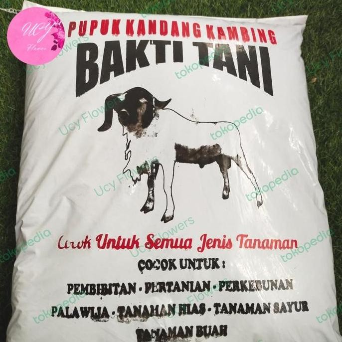 

Terlaris Pupuk Kandang Kambing Bakti Tani