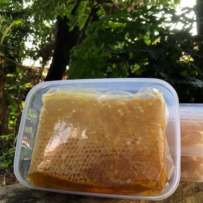 

BARU MADU SARANG MELIFERA 500 GRAM HONEY HONEY BEBAS KAFEIN