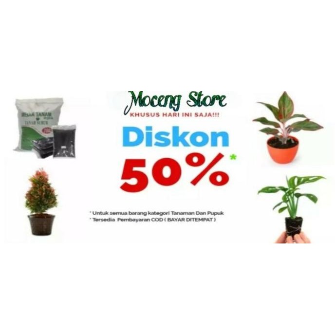 

Terlaris Readystok Pupuk Kandang Kambing Halus 1 Kg