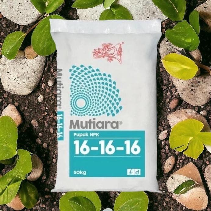 

Terlaris Pupuk Npk Mutiara 16 16 16 Meroke 1 Kg