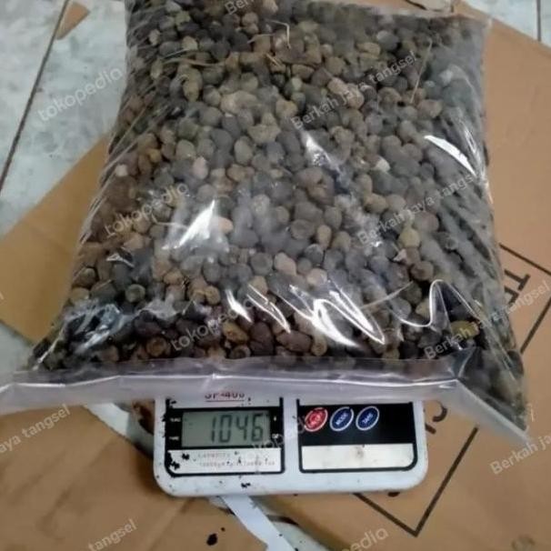 

Terlaris Pupuk Kandang