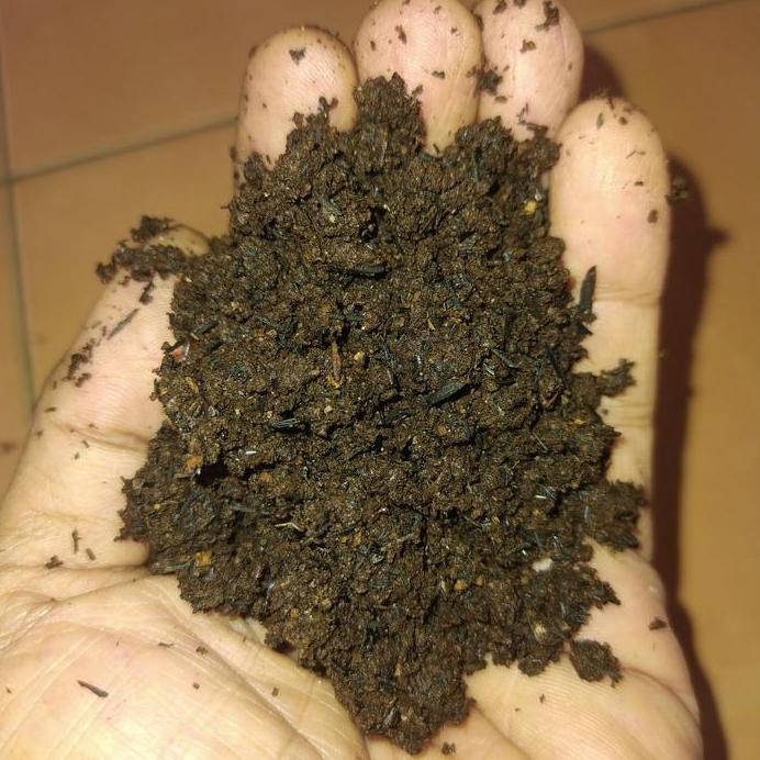 

Terlaris Pupuk Kandang | Media Tanam | Tanaman Hias, Buah | Kemasan 1000Gram