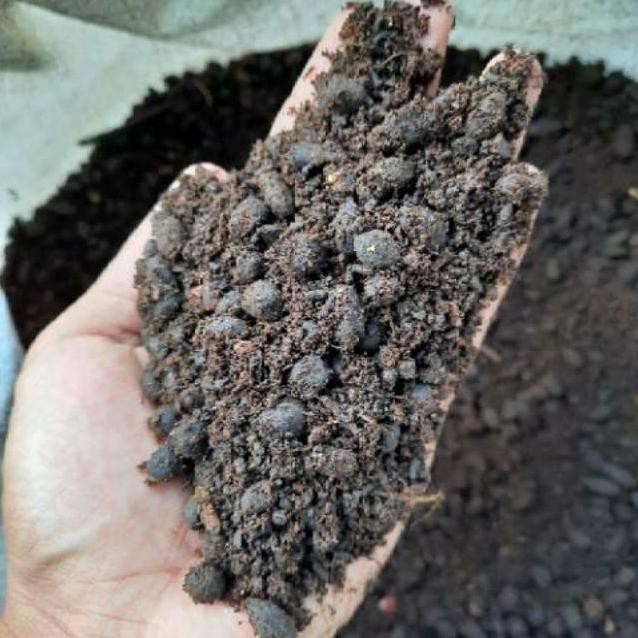 

Terlaris Jual Pupuk Kandang Kotoran Kambing