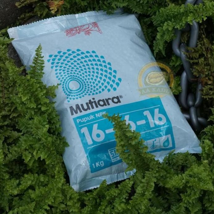 

Terlaris Pupuk Npk Mutiara 16 16 16 Meroke 1 Kg Kemasan Pabrik 161616 Masa Pertumbuhan Akar, Batang Dan Daun