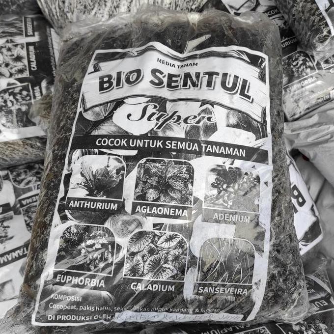 

Terlaris Pupuk Kandang Penyubur Tanah Biar Subur Dan Cepet Sehat Tagi Tanamanya