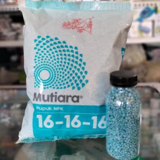 

Terlaris Pupuk Npk Mutiara 16-16-16 Meroke Kemasan Repack 100 Gram