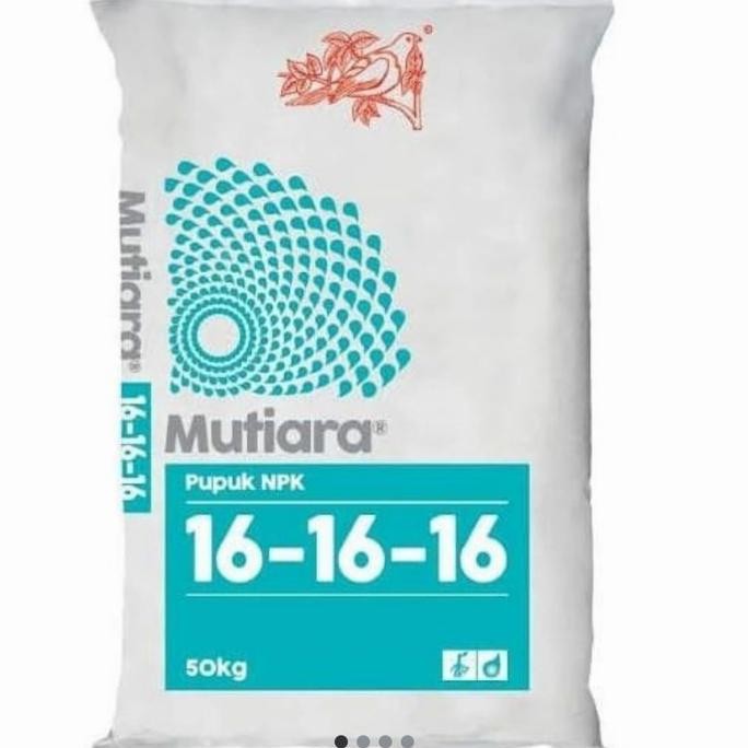 

Terlaris Obat Tanaman Npk Mutiara (16 16 16)