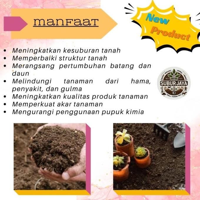 

Terlaris Pupuk Organik Kohe Kambing 1 Kg | Pupuk Kandang Berkualitas Untuk Media Tanam & Pertanian