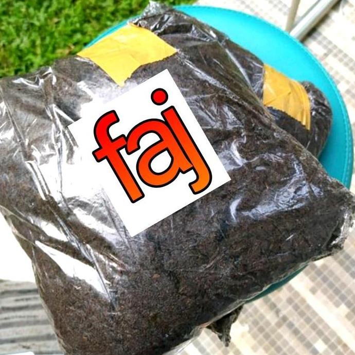

Terlaris Kompos Media Tanam Pupuk Kandang 1Kg Tanaman Pohon Bibit Buah Sayur