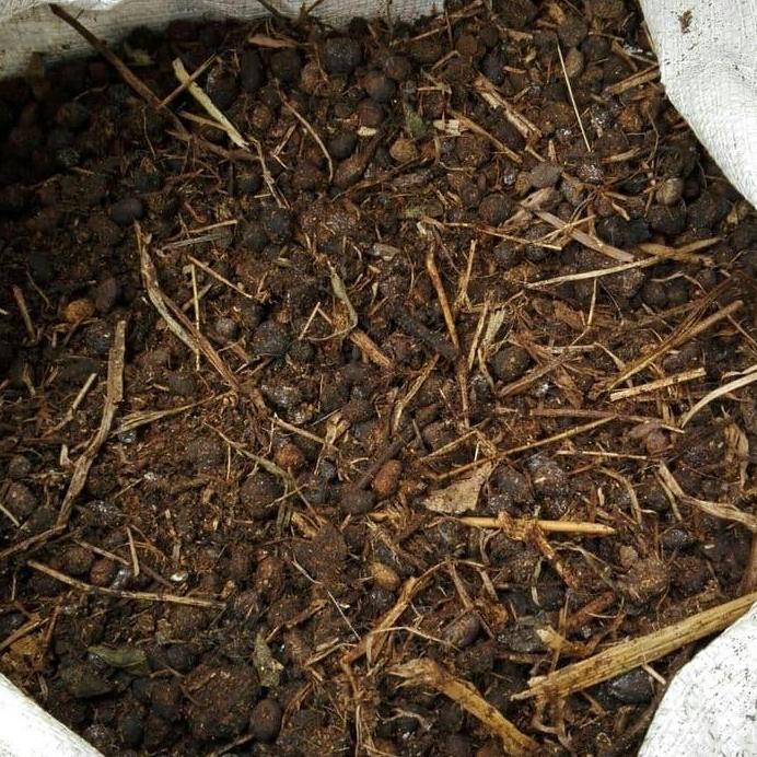 

Terlaris Pupuk Kandang I Kotoran Kambing Murni