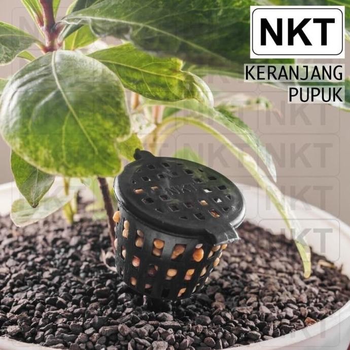 

Terlaris Pot Nkt Keranjang Pupuk Tanaman Osmocote Dekastar Dan Npk Mutiara - Hitam Media