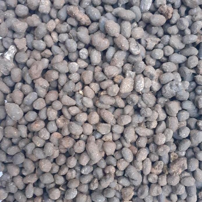 

Terlaris Pupuk Kandang Kambing Brondol