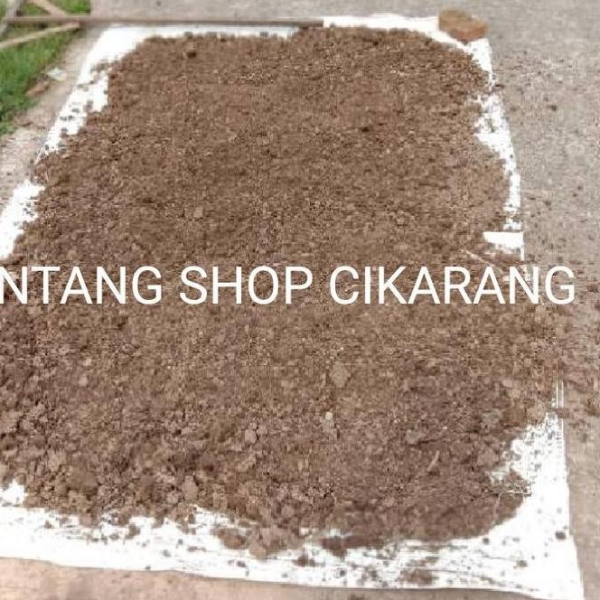 

Terlaris 1Kg Pupuk Kandang Kotoran Puyuh Murni