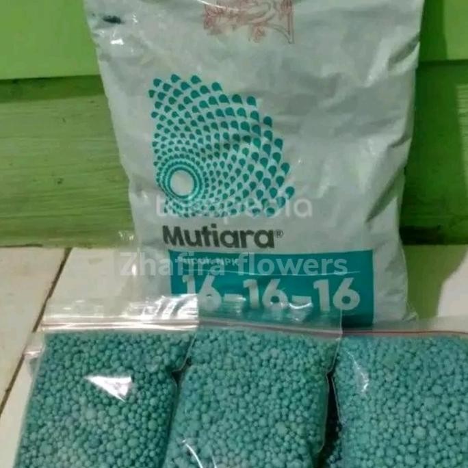 

Terlaris Pupuk Npk Mutiara 100 Gram