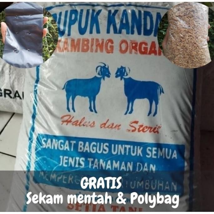 

Terlaris Pupuk Kandang Kambing Halus Steril Siap Pakai 1Kg