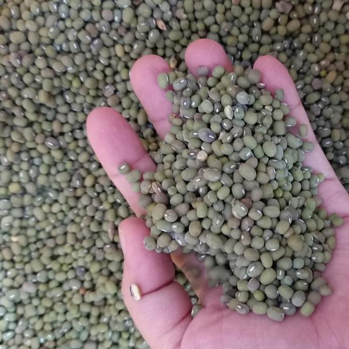 

Terlaris Biji Kacang Hijau (500G) Kacang Ijo Mentah / Kacang / Green Beans