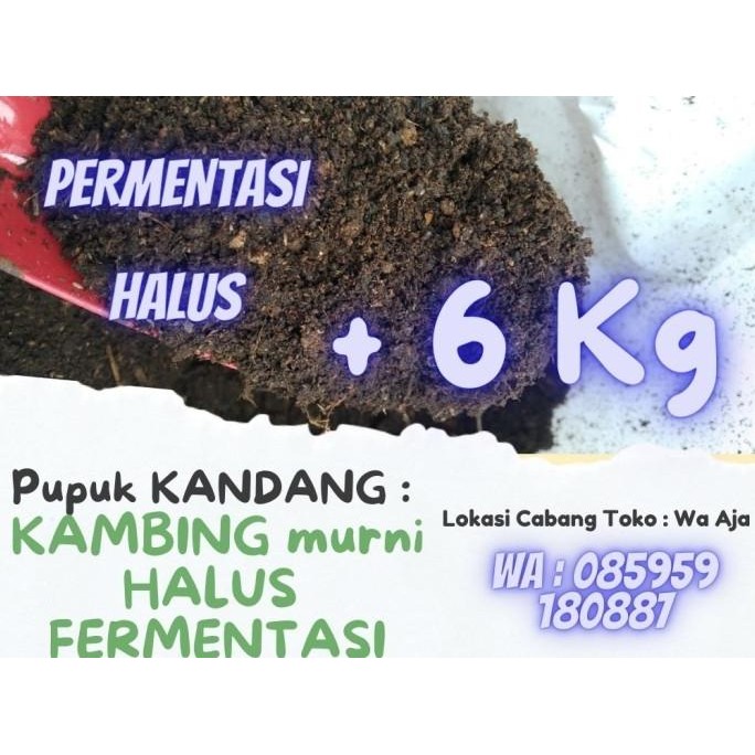 

Terlaris Pupuk Kandang Kambing Organik Halus Siap Pakai Fermentasi Murni Domba