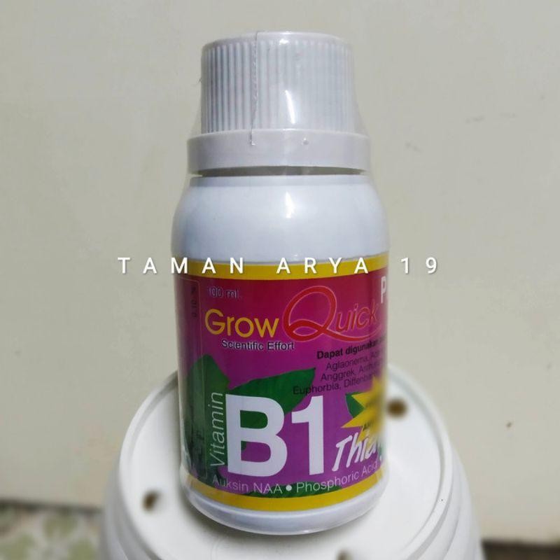 Pupuk Vitamin B1