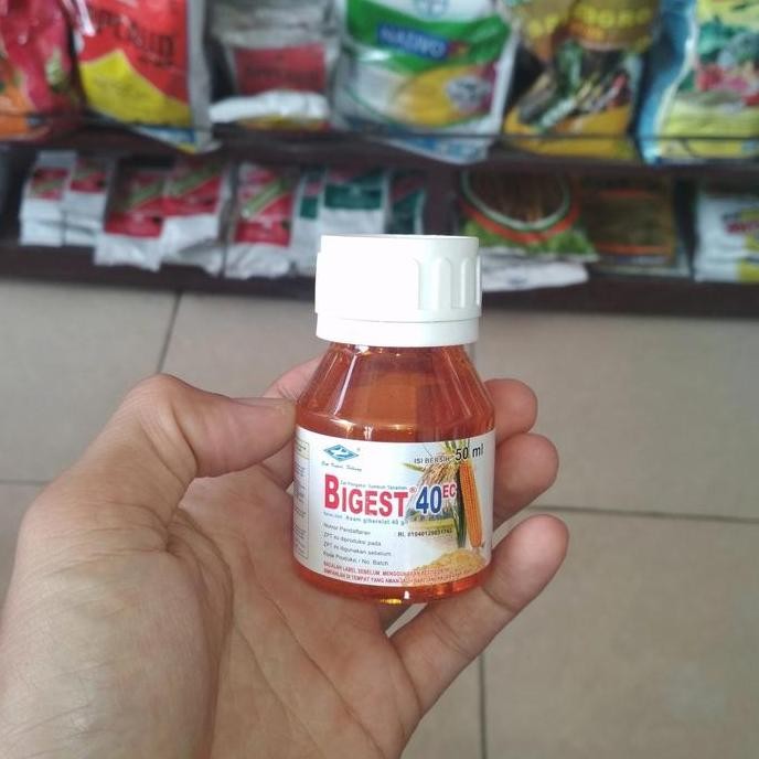 

Terlaris Nutrisi Bigest 50 Ml Pemberat Bobot Padi