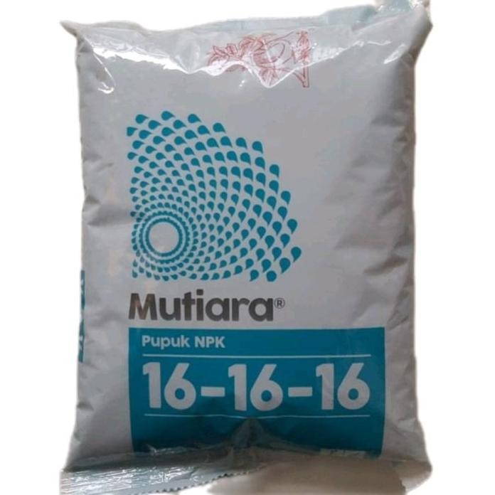 

Terlaris Pupuk Npk Mutiara 16 16 16 Meroke Kemasan Pabrik 1 Kg Untuk Tanaman