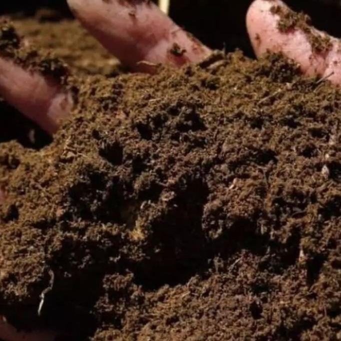 

Terlaris Pupuk Kandang Sapi Organik Pak Tani 1 Karung // Maximal Koptgu 7799Sw