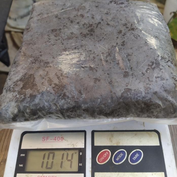 

Terlaris Media Tanam Pupuk Kandang/Pupuk Kambing