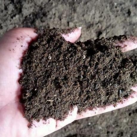 

Terlaris Paling Murah Aht - 1 Karung Pupuk Kandang Fermentasi Siap Pakai - Karung 10 Cocok Untuk Segala Jenis Tanaman