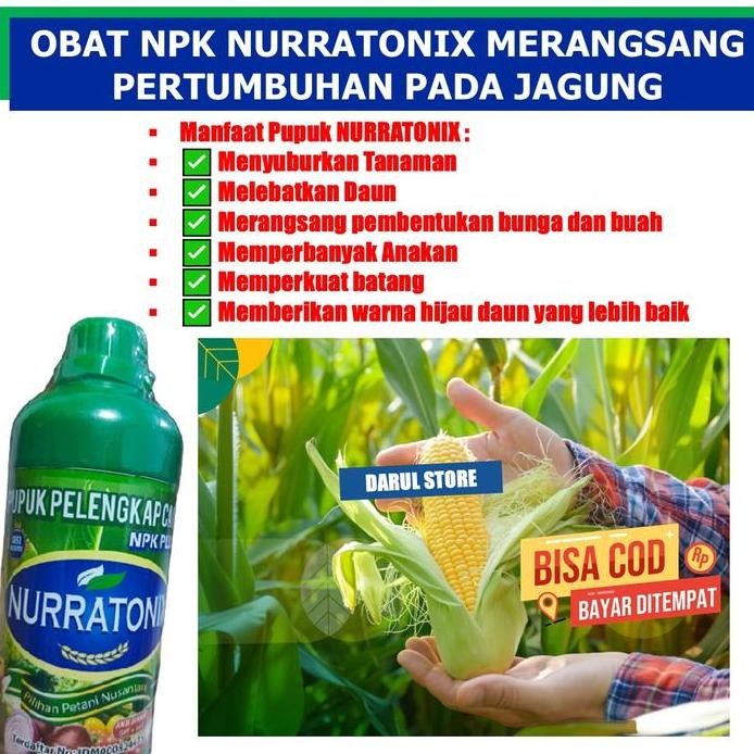 

Terlaris Pupuk Npk Cair Jagung Menyuburkan Pertumbuhan Buah Daun Bunga Dan Batang Pada Tanaman Buah Jagung Npk Nurratonix