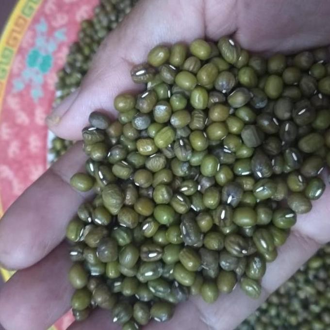 

Terlaris Kacang Hijau Import 1Kg
