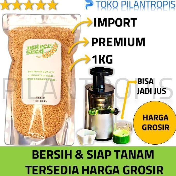 

Terlaris Benih Wheatgrass 1Kg Bibit Rumput Gandum Biji Wheat Grass Microgreen