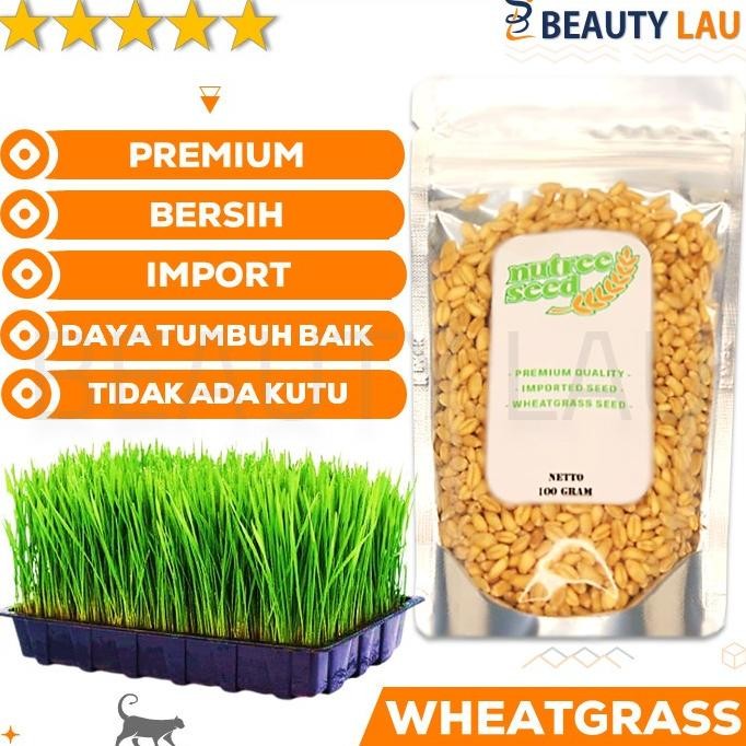

Terlaris Benih Rumput Gandum Untuk Kucing 100Gr Bibit Cat Grass Microgreen Seed