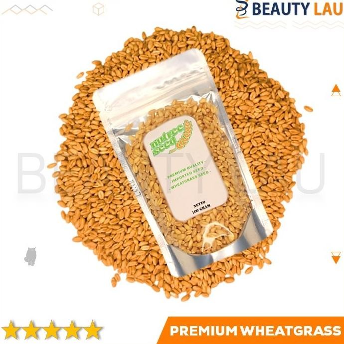 

Terlaris Benih Rumput Gandum Kucing 100Gr Bibit Wheatgrass Microgreen Seed