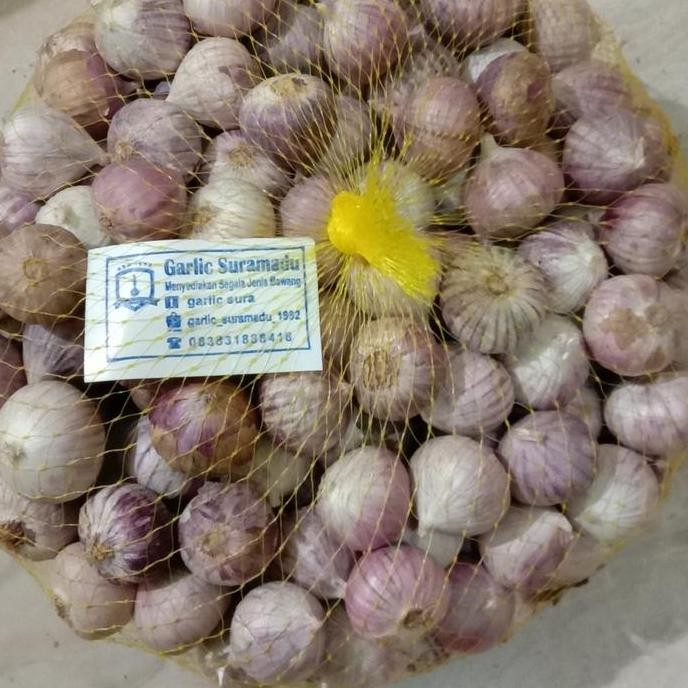

NEW bawang putih Lanang tunggal 1kg