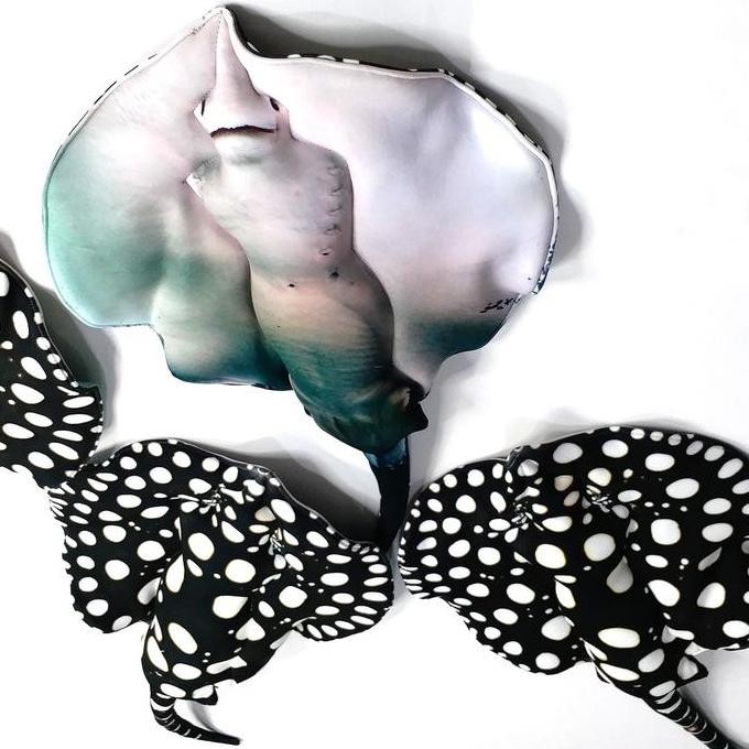 Boneka Stingray Ikan Pari Black Diamond Kreasi Lokal