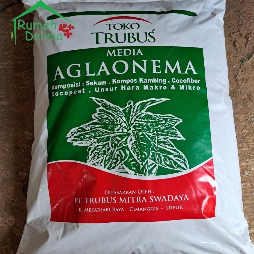 Media Tanam Aglonema TRUBUS Siap Pakai