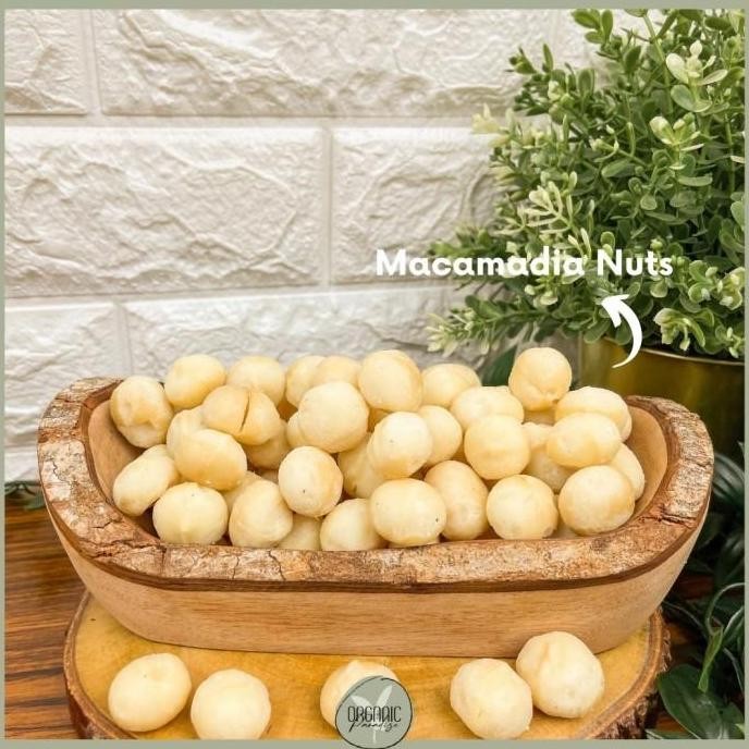 

Grosir Kacang Macadamia Mentah 250 Gram / Raw Macadamia 250 Gram Organic Paradise