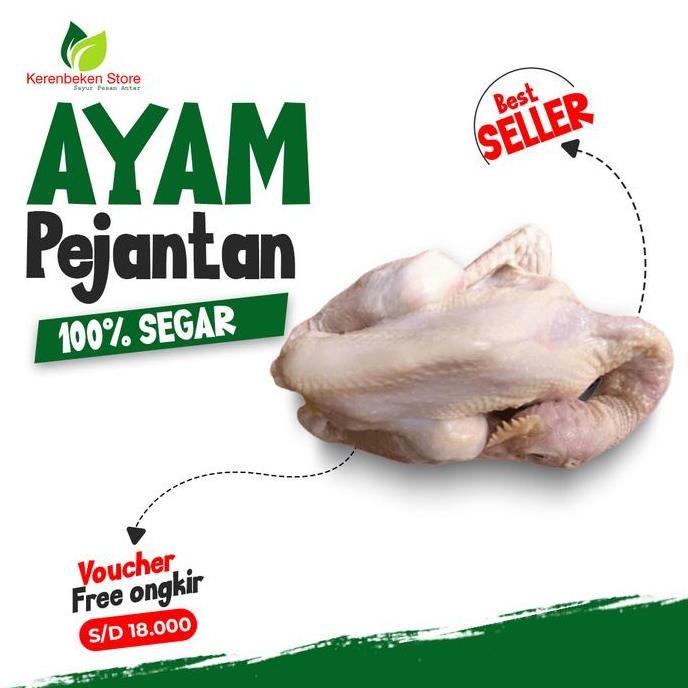 

Ayam Pejantan Lokal 1.500gr Segar, Cocok Gulai, Opor & Bumbu Rempah TA