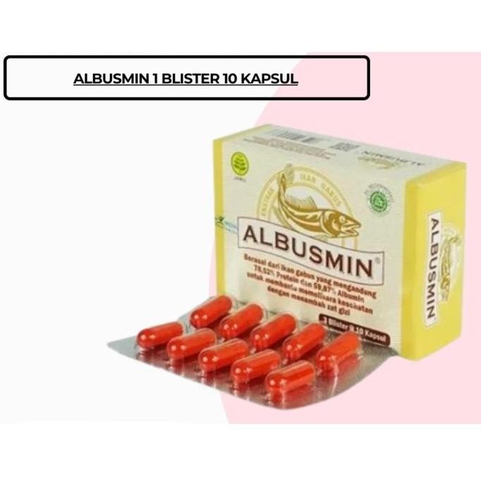 

Terlaris Albusmin Blister 10 Kapsul - Vitamin Albumin Extrak Ikan Gabus Untuk Kesehatan
