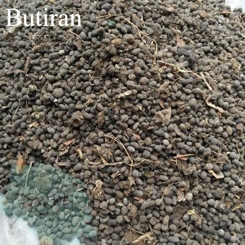 

Terlaris Pupuk Kandang Pupuk Tai / Kotoran Kambing Per Pack 2 Kg Top