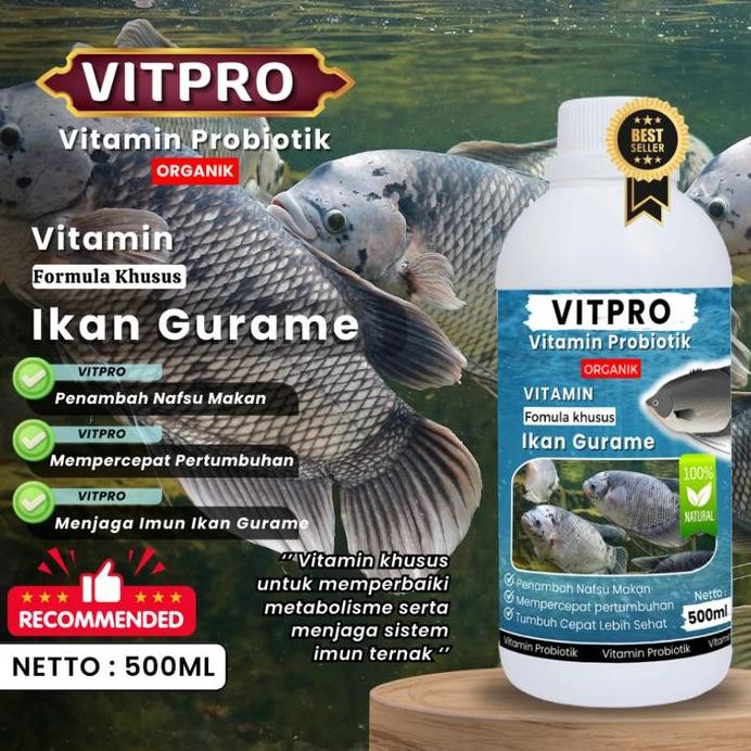 

Terlaris Vitpro Ikan Gurame Vitamin Ikan Gurame, Vitamin Probiotik Ikan Gurame Cepat Besar, Penambah Napsu Makan, Anti Parasit, Panen Lebih Cepat 500Ml