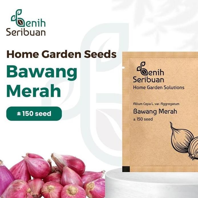

Terlaris Benih Seribuan - Bibit Sayuran Bawang Merah Unggul