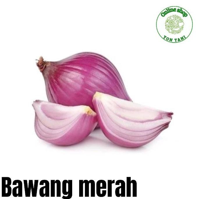 

Terlaris Benih Tanaman Bawang Merah Unggul Berkualitas - 125 Butir Bibit