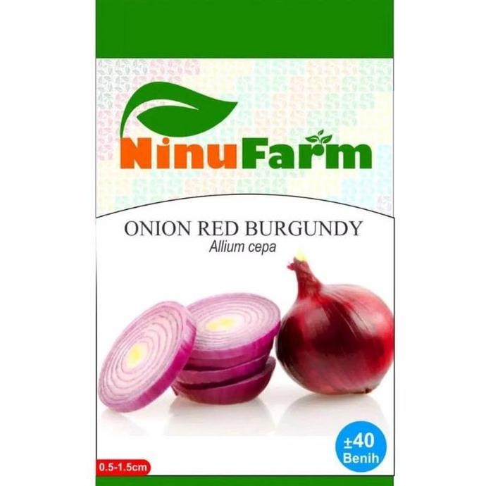 

Terlaris Benih Bawang Burgundy Merah / Bibit Onion Red Burgundy