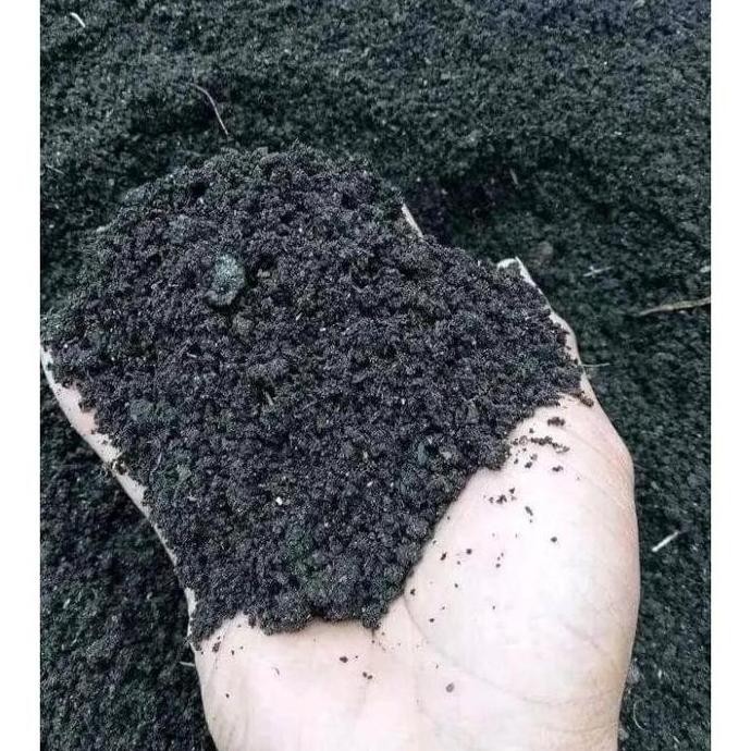 

Terlaris Ready || 1 Karung Pupuk Kandang / Kohe Fermentasi Uk 25 Dan Uk 50 Baca Deskripsi