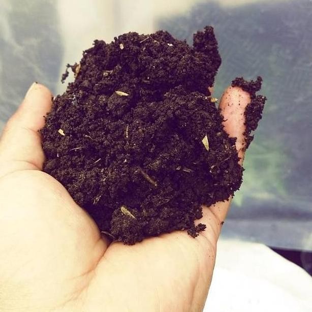 

Terlaris Media Tanam Siap Pakai/ Tanah Lembang Mix Pupuk Kandang Sekam