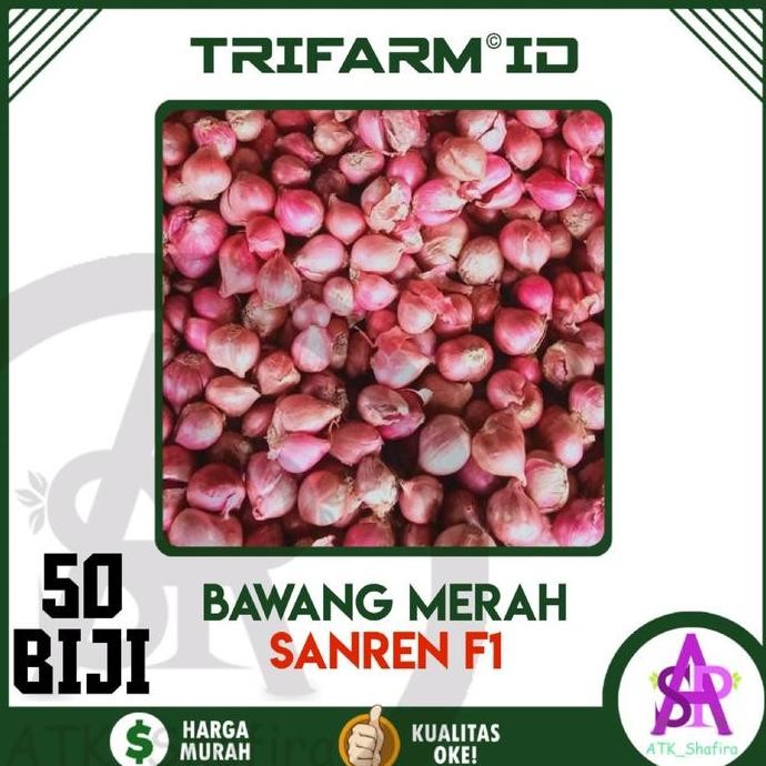 

Terlaris Trifarm 50 Biji Benih Bibit Bawang Merah Shanren Kemasan Ziplock Sawi Benihsayuran Murah