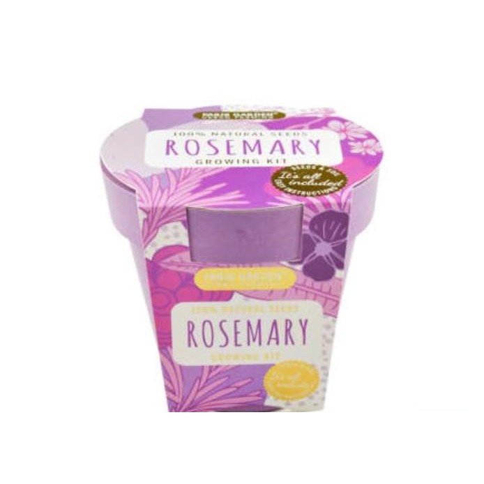 

Terlaris Paris Garden Bibit Bunga Rosemary